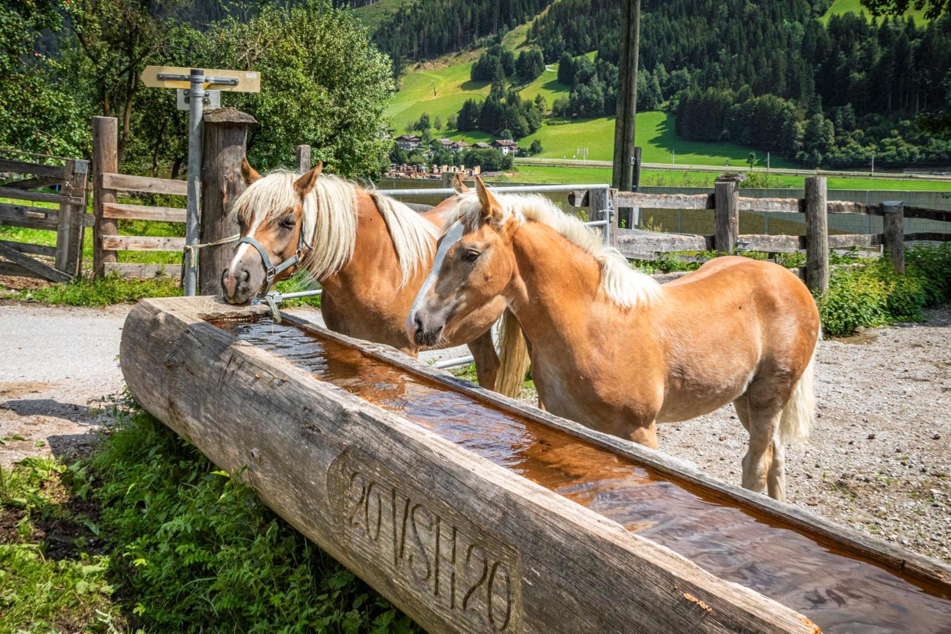 Villa Schartlhof Flachau Esterno foto