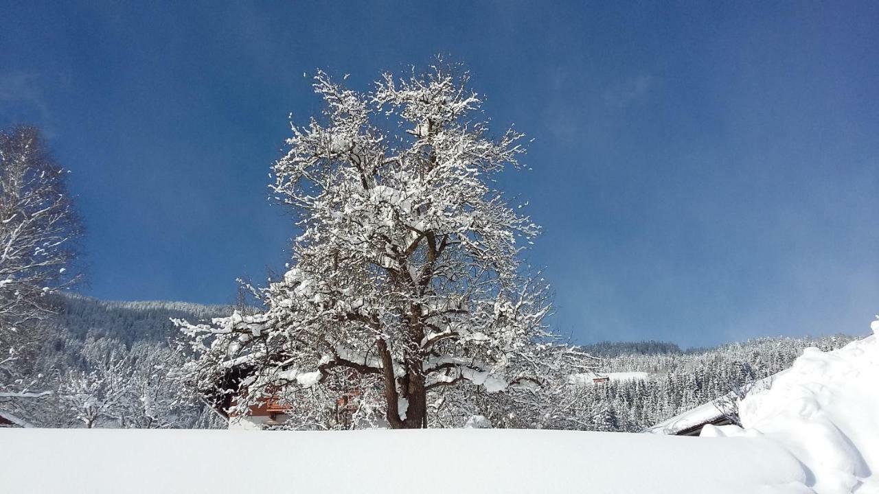 Villa Schartlhof Flachau Esterno foto