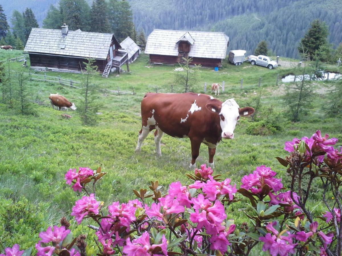 Villa Schartlhof Flachau Esterno foto